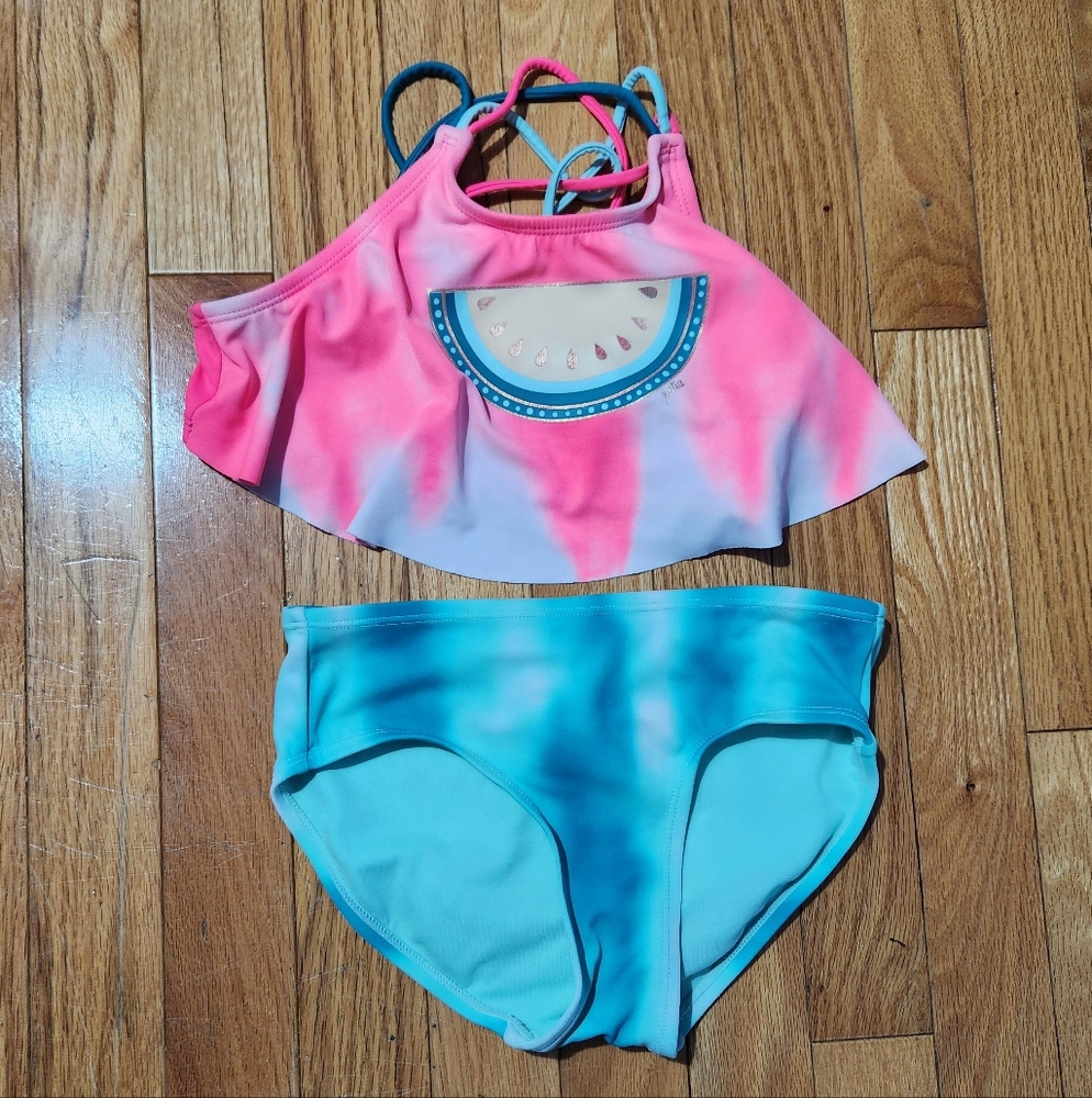 Pink and Blue Watermelon Bikini Set